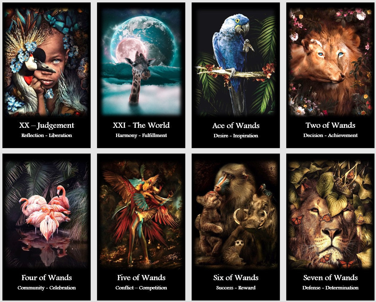 Wild Spirit Tarot Deck: Nature Wisdom, Fortune Telling tarot cards
