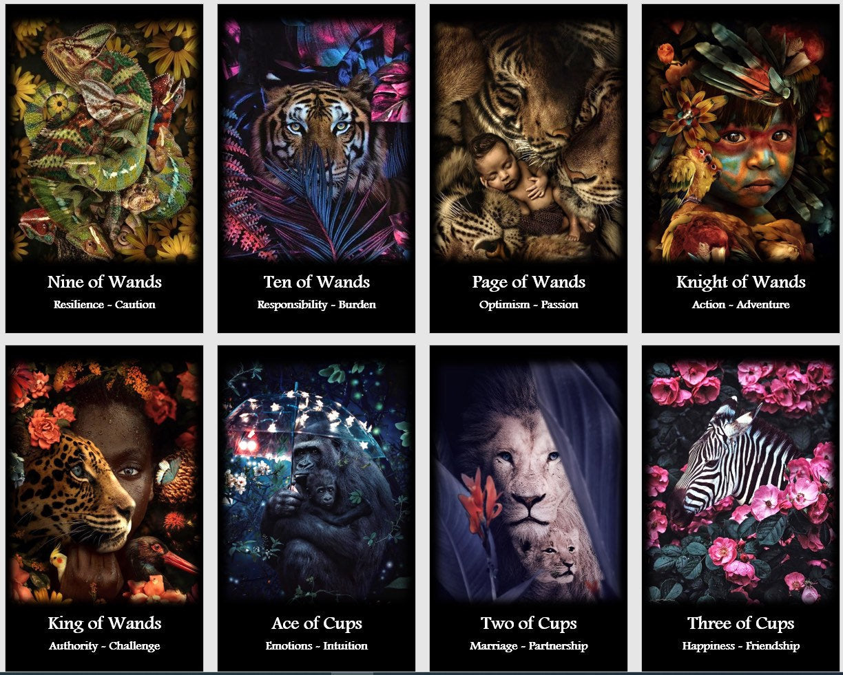 Jeu de cartes de tarot Wild Spirit : Sagesse de la nature, Cartes de tarot divinatoires