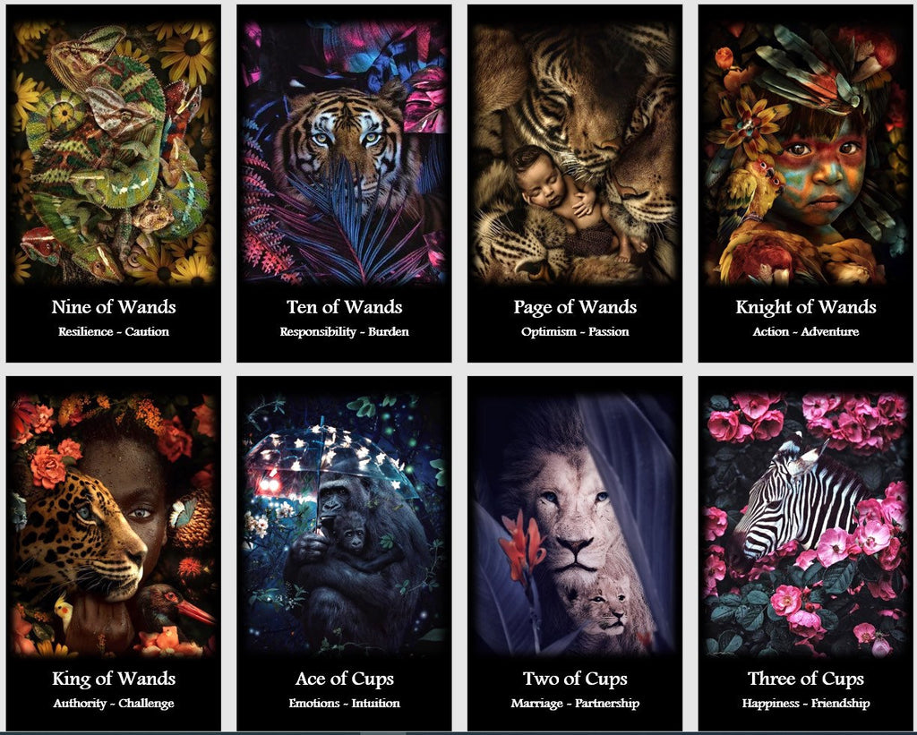 Wild Spirit Tarot Deck: Nature Wisdom, Fortune Telling (Ebook)