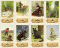 Gypsy oracle deck. Fortune telling cards.